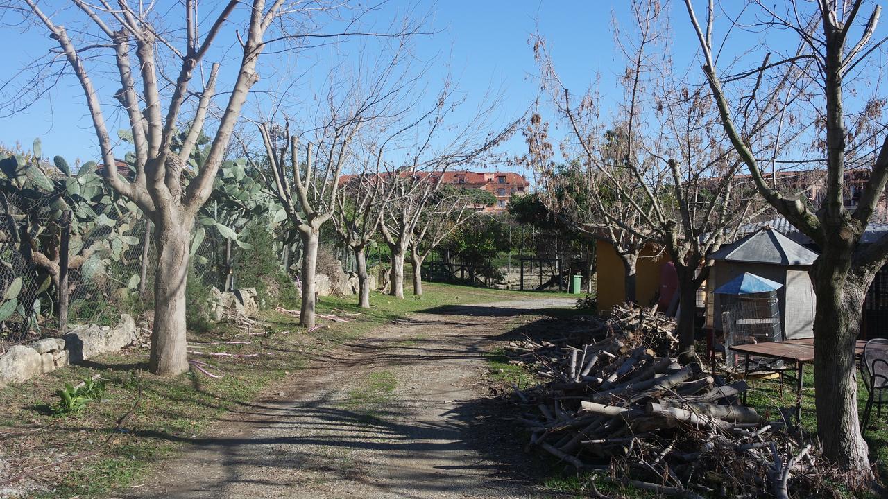 Гостевой дом Agriturismo Masseria I Risi Санта-Эуфемия-Ламеция Экстерьер фото