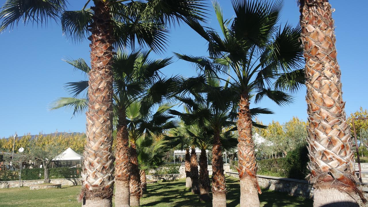 Гостевой дом Agriturismo Masseria I Risi Санта-Эуфемия-Ламеция Экстерьер фото