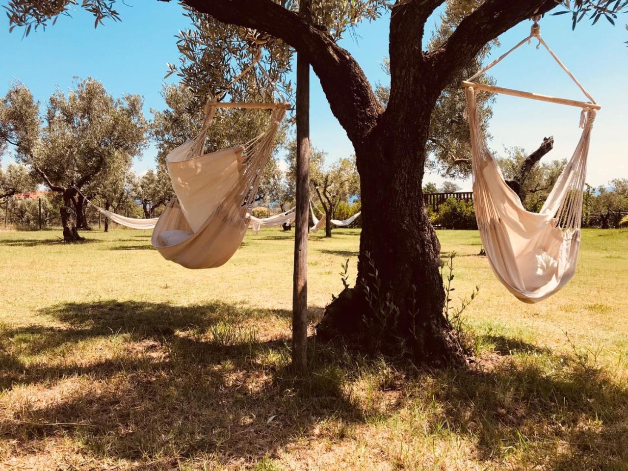 Гостевой дом Agriturismo Masseria I Risi Санта-Эуфемия-Ламеция Экстерьер фото